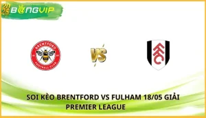 soi kèo Brentford vs Fulham