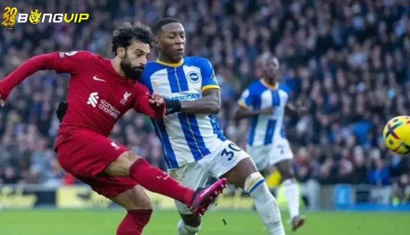Soi kèo Brighton vs Liverpool 20/05 giải Premier League Phong độ Liverpool ở soi kèo Brighton vs Liverpool