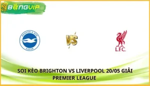 soi kèo Brighton vs Liverpool